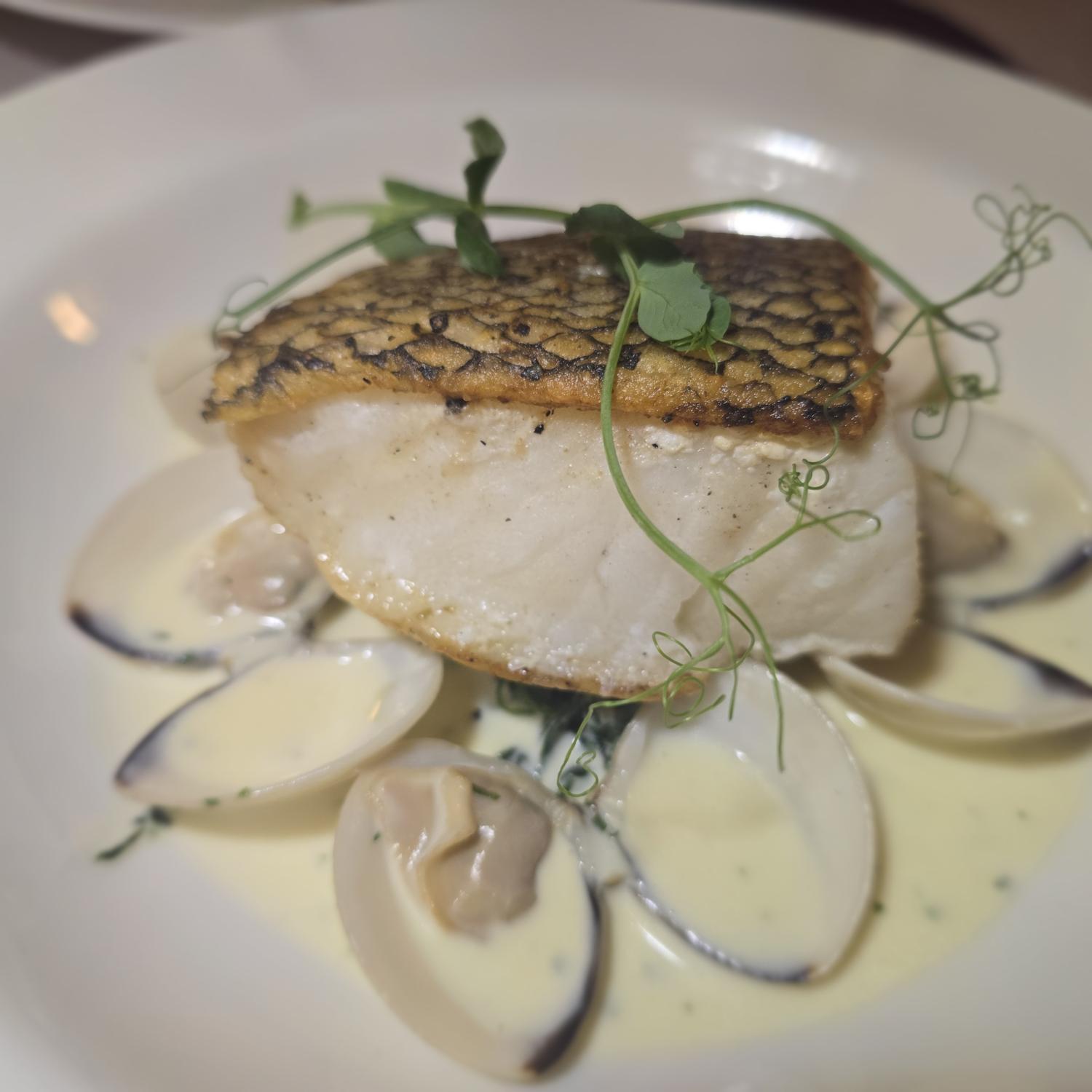 Atlantic Cod with Vin Blanc Cream Sauce